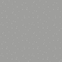 dsStella-D3855 STEEL
